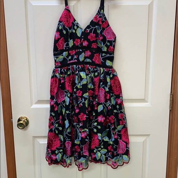 Beautiful Nicole Miller Lace Dress - Picture 1 of 7